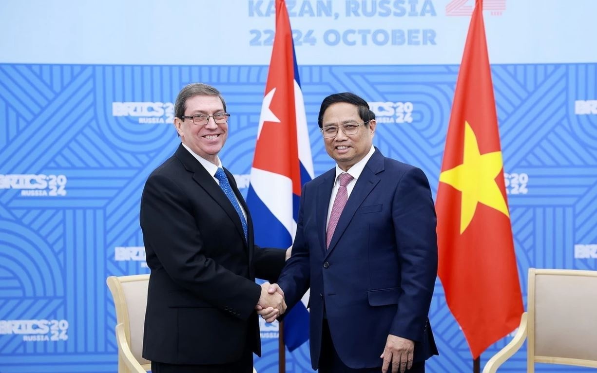 Viet Nam - Cuba nhat tri thuc day hop tac tren tat ca linh vuc hinh anh