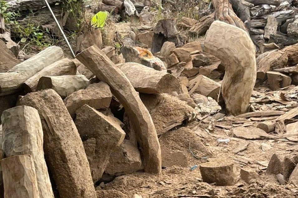 Đồ gỗ thủy tùng,  Nguyễn Quốc Phong,  Ngô Lê Hoàng Phong ảnh 2 Do go thuy tung,  Nguyen Quoc Phong,  Ngo Le Hoang Phong anh 2