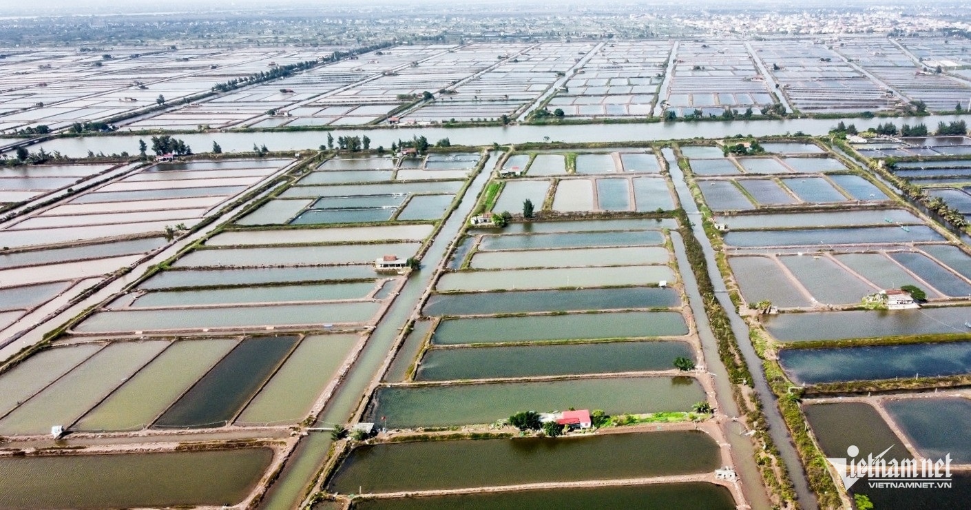 Dat cong Con Xanh,  Nam Dinh,  Tran Van Huynh anh 1