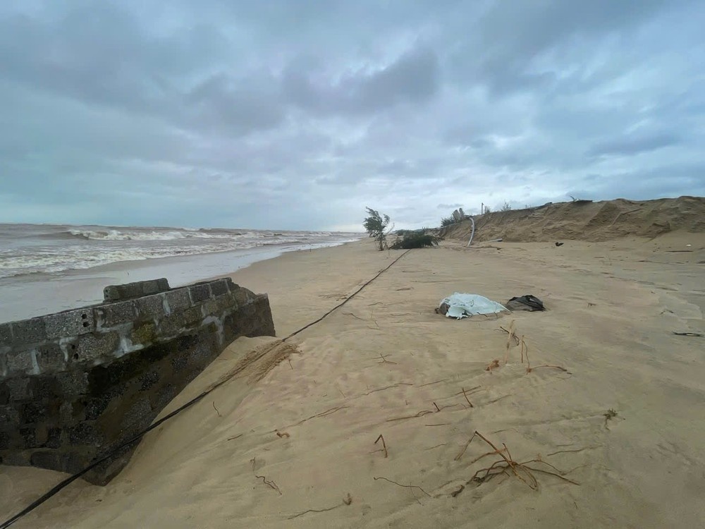 Ho tom xoa trang anh 1