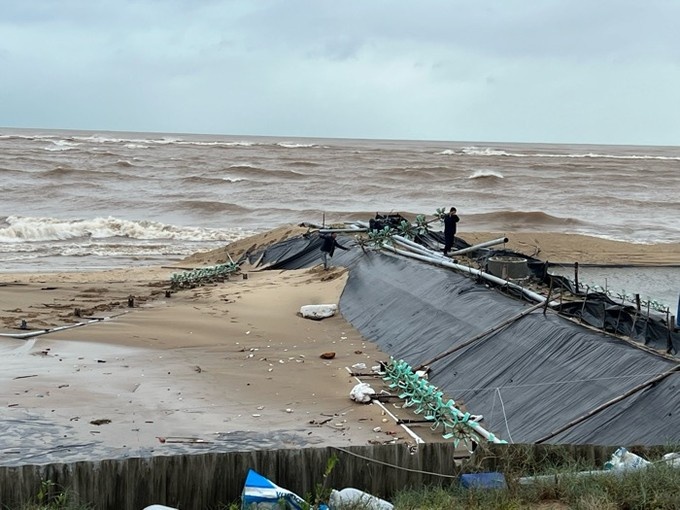 Ho tom xoa trang anh 3