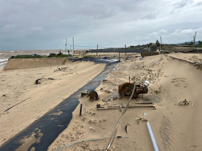 Ho tom xoa trang anh 5