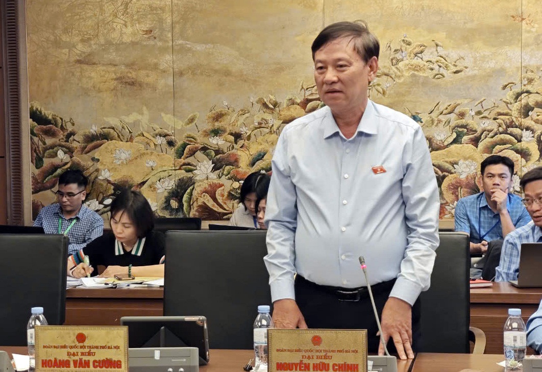 Nguyen Huu Chinh anh 2