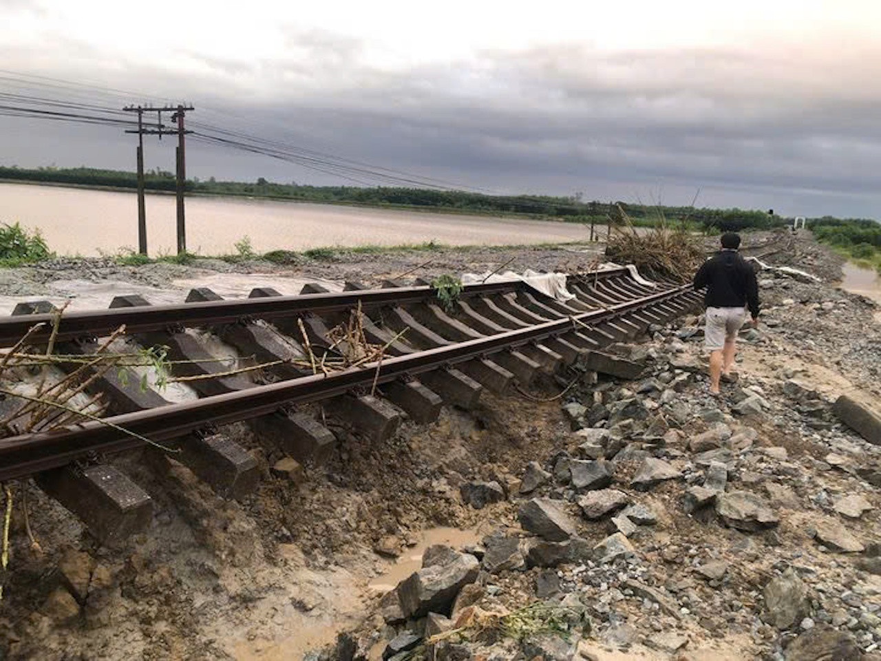 Bao Tra Mi Quang Tri anh 1