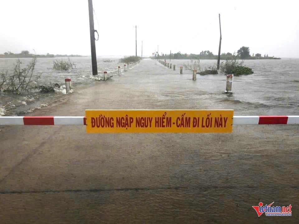 Bao Tra Mi Hue anh 1