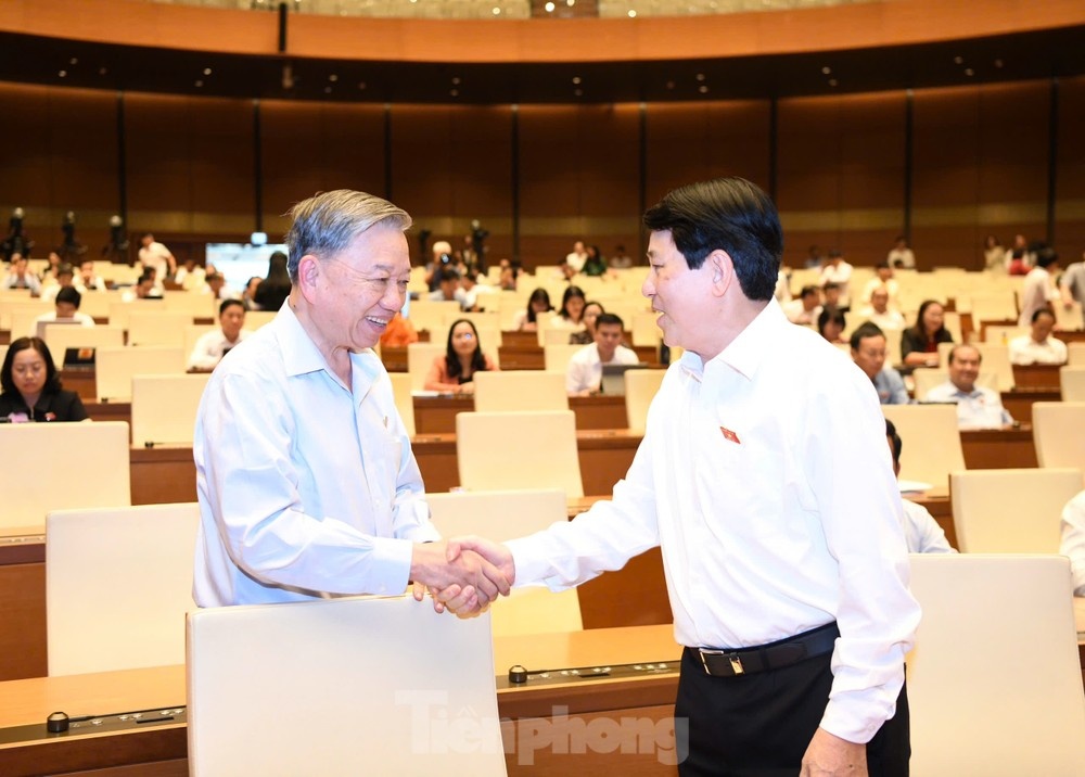 To Lam Luong Cuong anh 1