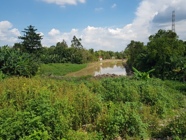 Bai rac chan cao toc? anh 2