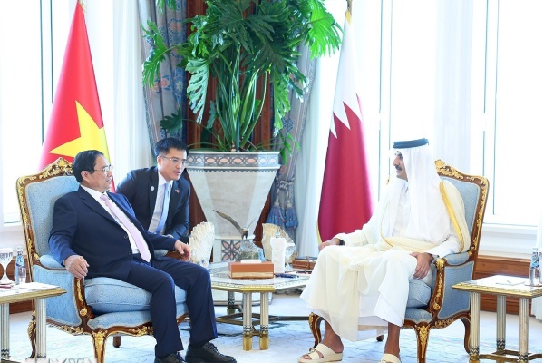 Viet Nam-Qatar thuc day hop tac, som nang cap quan he len tam cao moi hinh anh