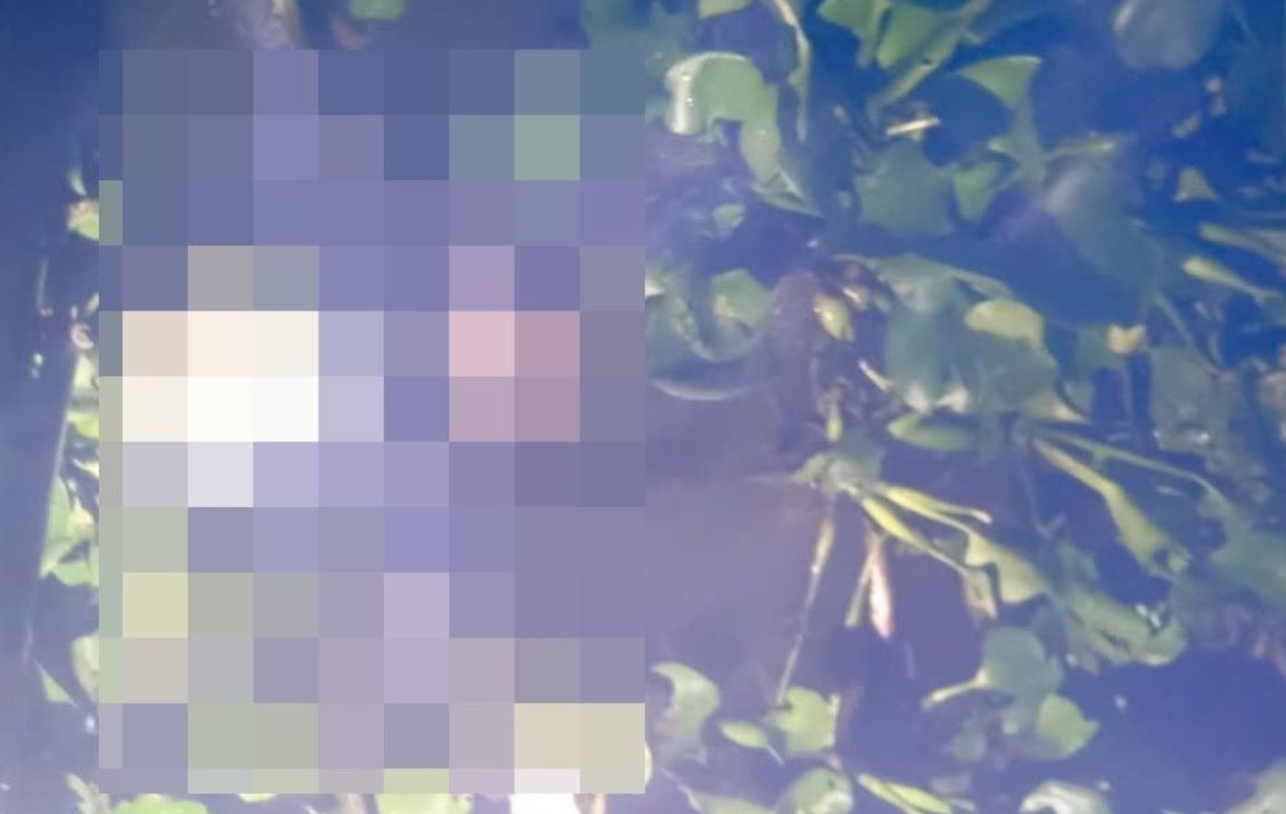 Be trai 3 tuoi tu vong duoi kenh o Long An hinh anh