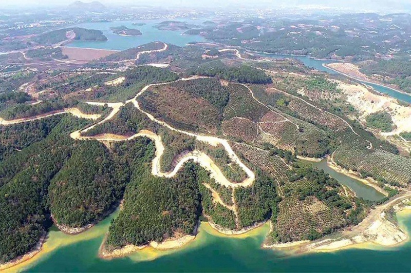 Sai Gon Dai Ninh,  Mai Tien Dung,  Lam Dong,  Phan Thi Hoa,  Dai Ninh Lavender,  Giao duc Van Lang,  Cong ty Van Lang,  Nguyen Cao Tri,  Chu tich Van Lang anh 2