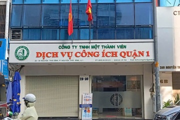 TP.HCM neu 3 doanh nghiep 'chiem giu tai san nha, dat cua Nha nuoc' hinh anh