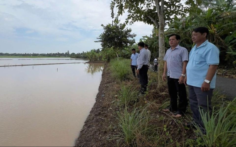 Hon 570 ha lua ngap sau sau tran mua lon nhat 40 nam qua tai Bac Lieu hinh anh