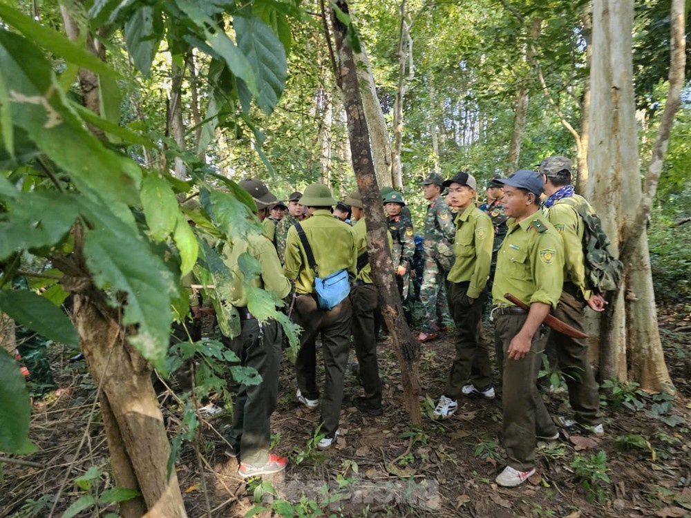 Roi may bay Yak-130 anh 9