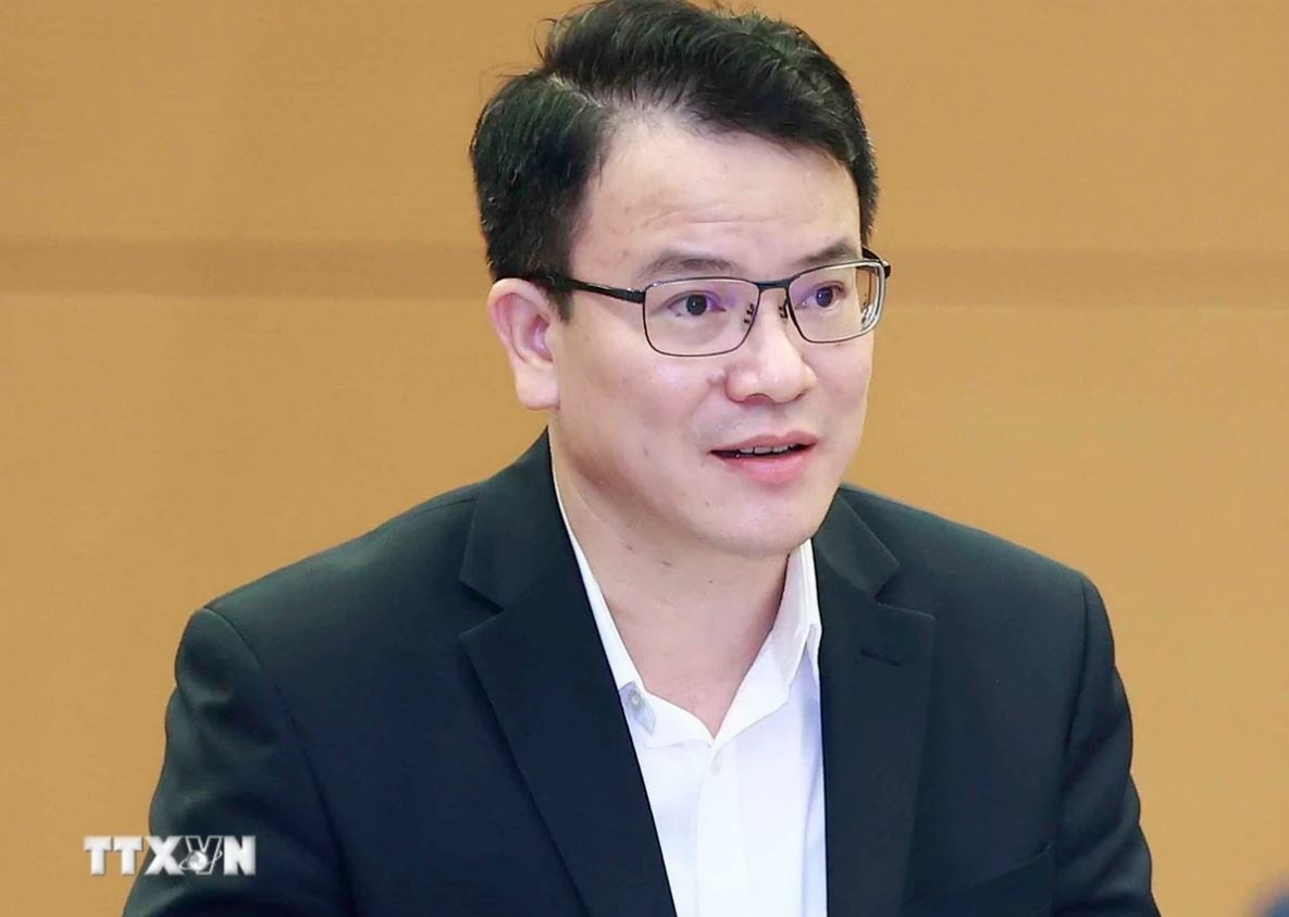 Nguyen Hong Thai anh 1