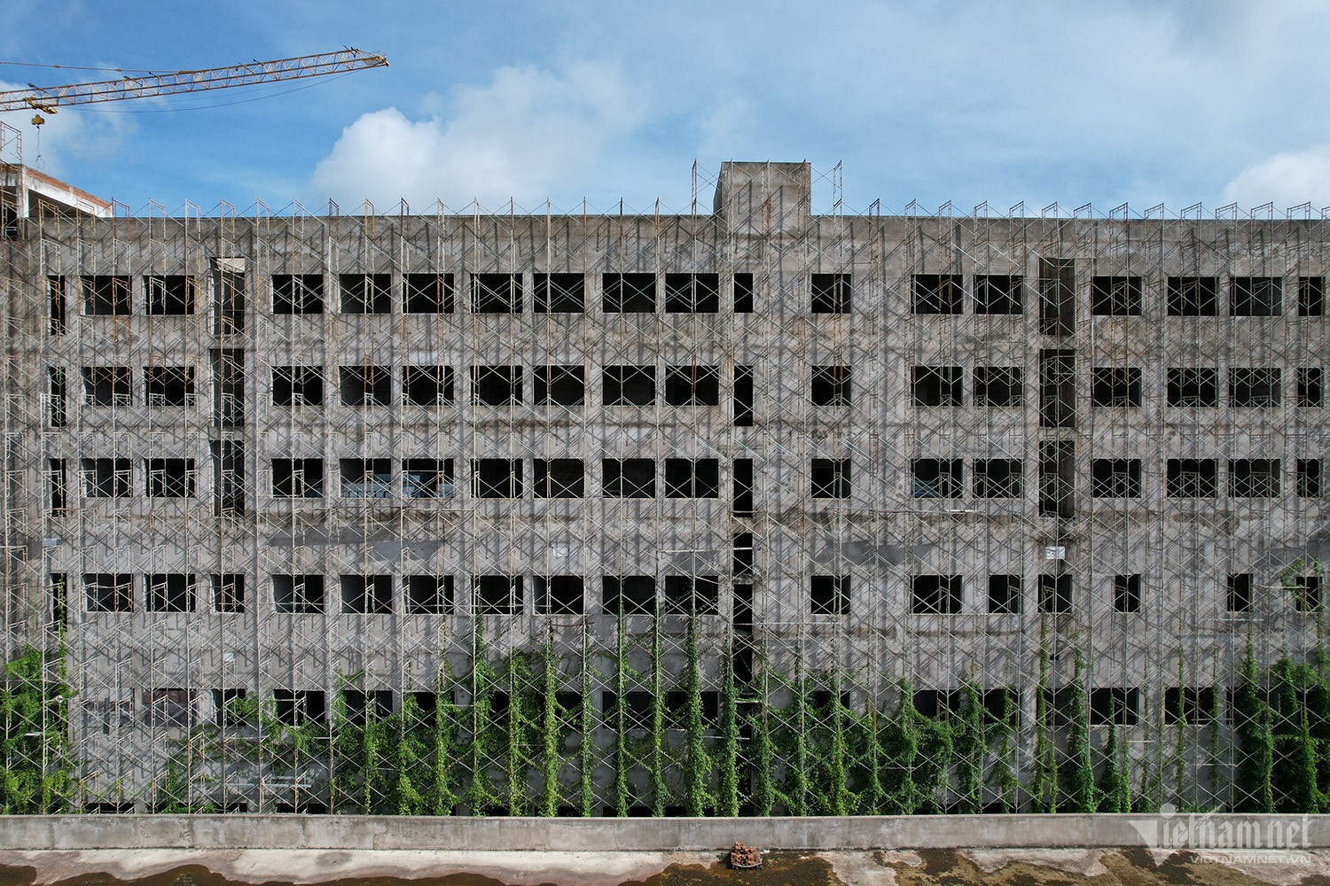 Benh vien Can Tho anh 2