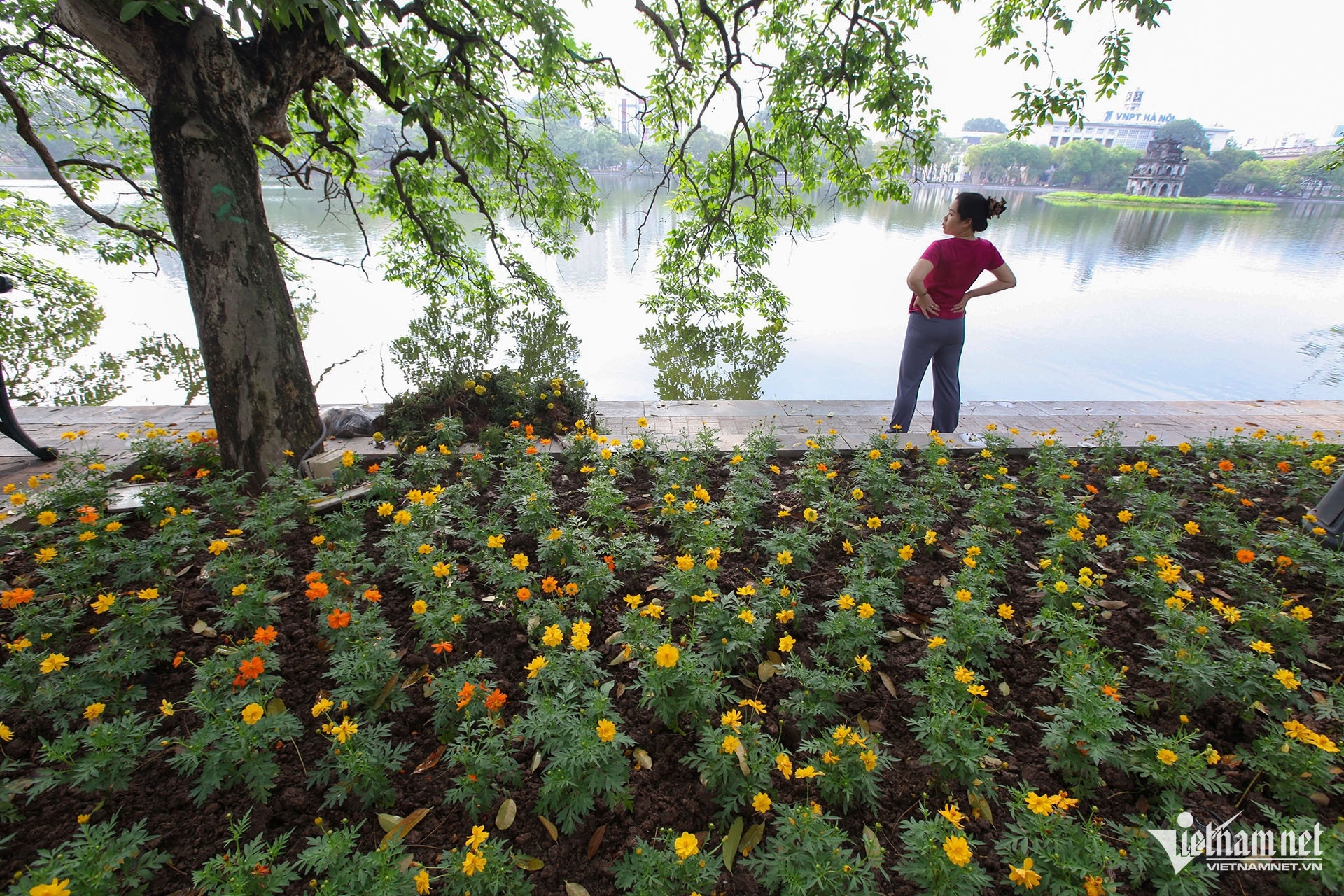 Du bao thoi tiet anh 1