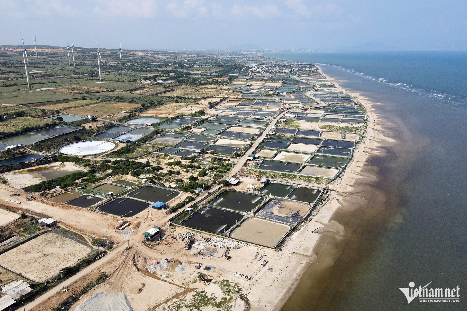 Dien hat nhan Ninh Thuan anh 1