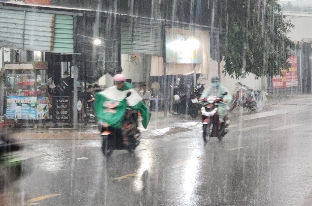 Mua trang troi o TP.HCM hinh anh