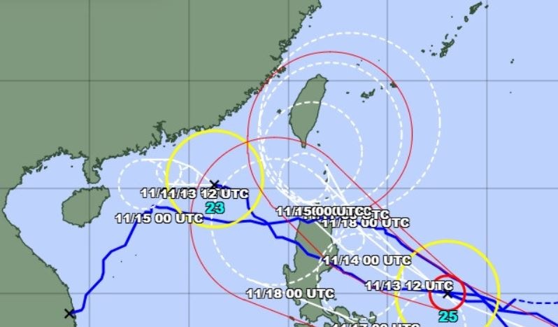 Bao Toraji suy yeu, hai bao Usagi va Man-yi noi nhau hoat dong hinh anh