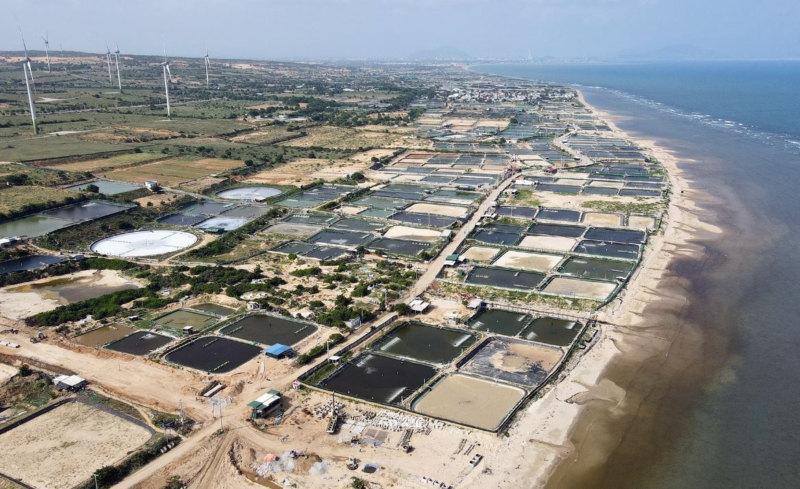 Lay y kien ve dien hat nhan, tinh co du an do dang kien nghi thang hinh anh