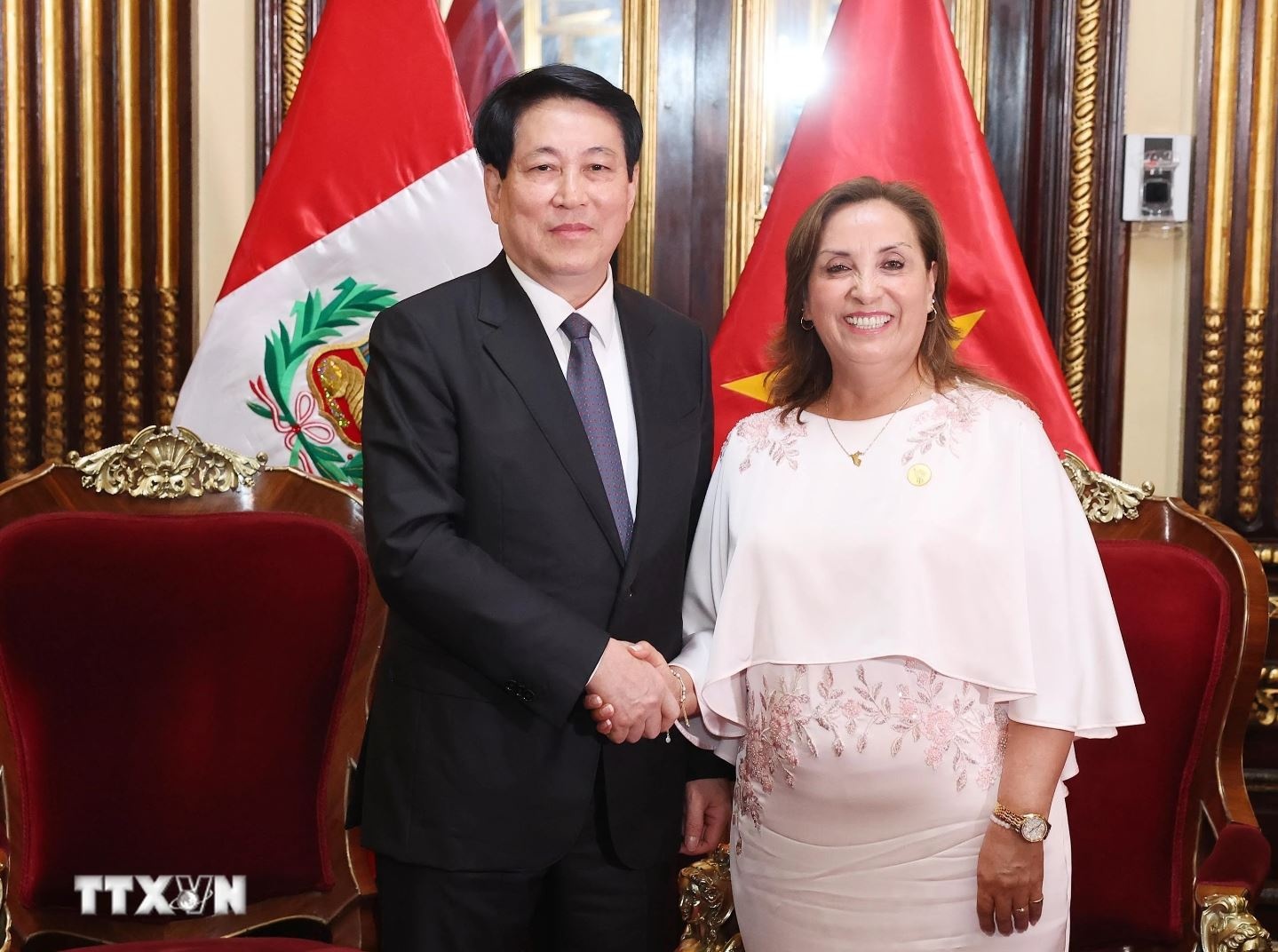 Chu tich nuoc Luong Cuong anh 1