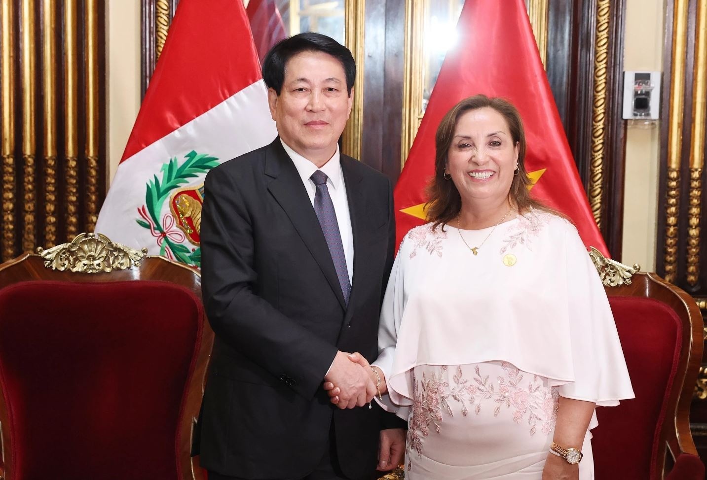 Tuyen bo chung ve tang cuong quan he song phuong Viet Nam - Peru hinh anh