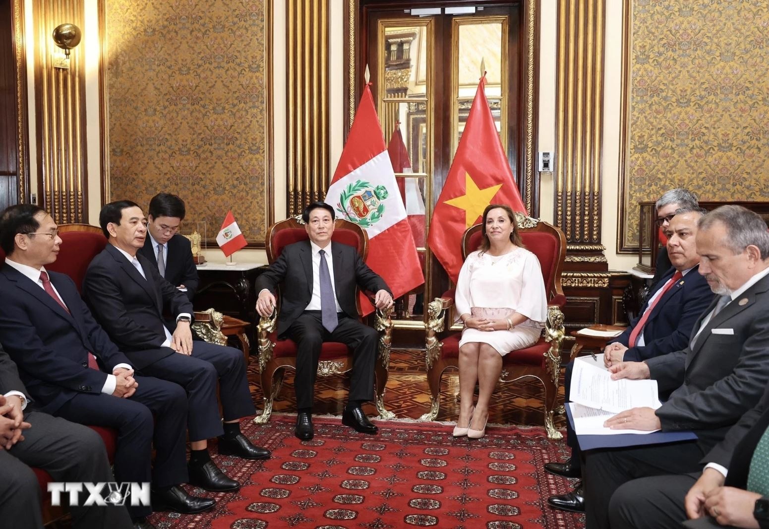 Chu tich nuoc Luong Cuong anh 3