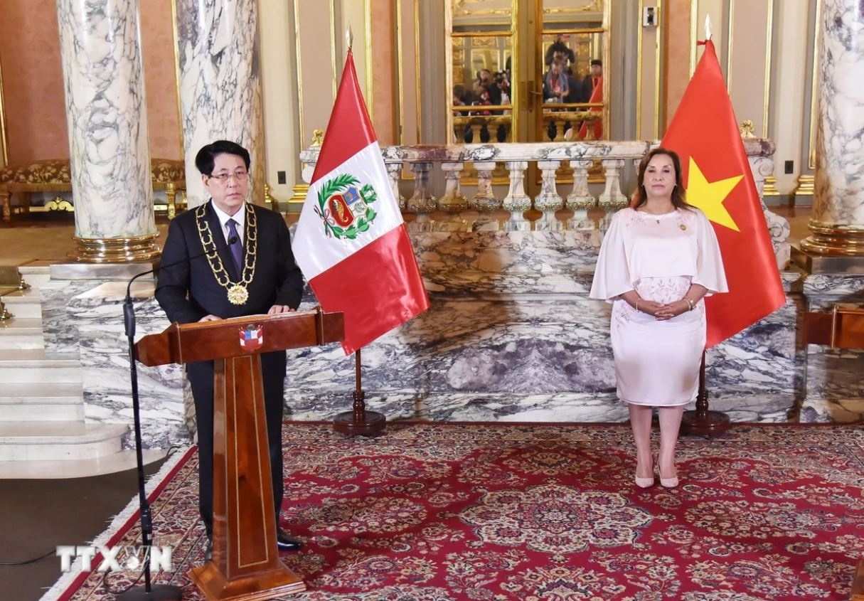 Chu tich nuoc Luong Cuong anh 1