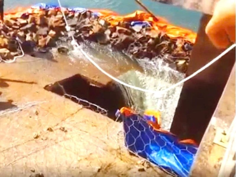 Su co ro ri nuoc o than dap: Gia Lai hoa toc ung pho, so tan dan hinh anh