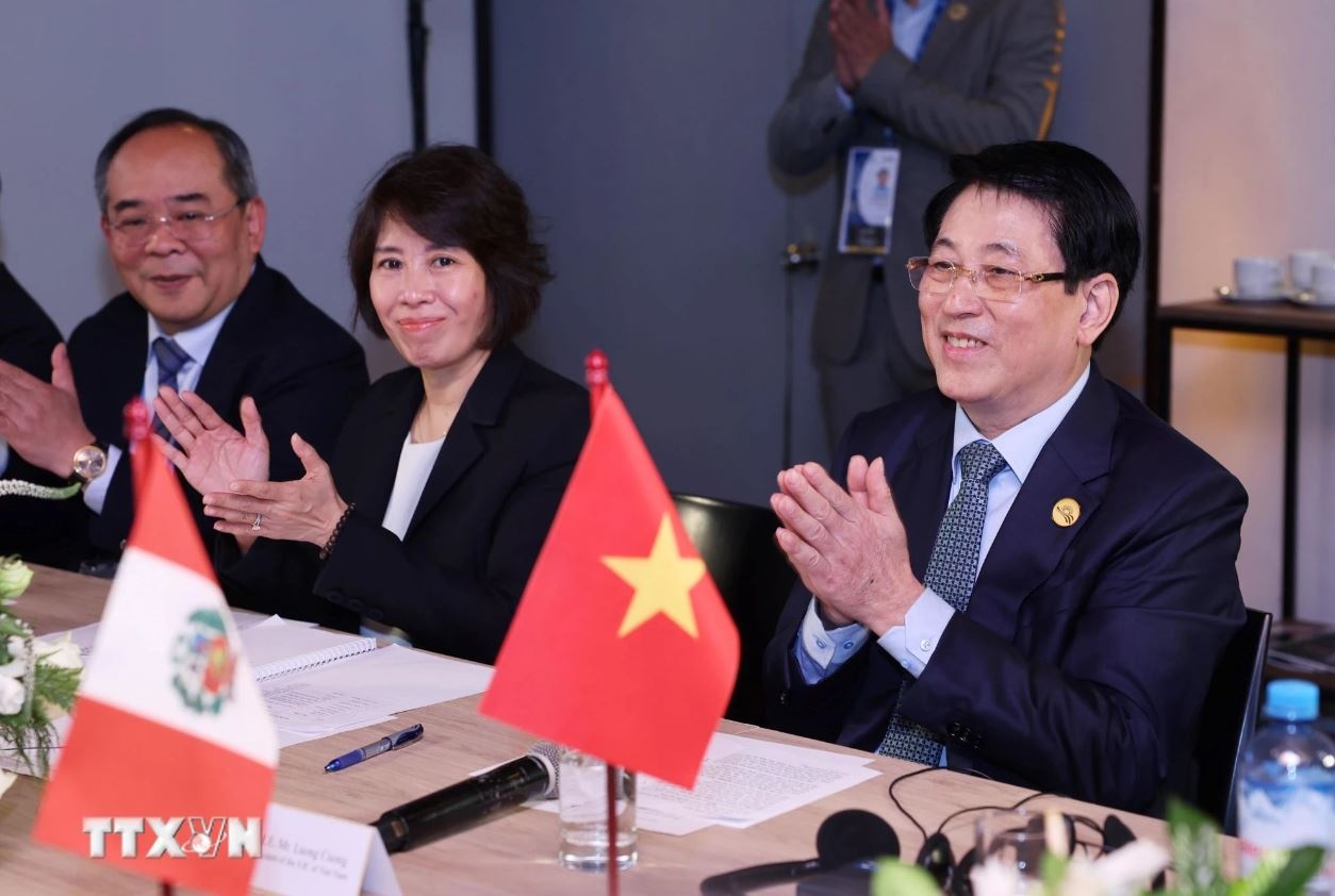 Chu tich nuoc Luong Cuong anh 2