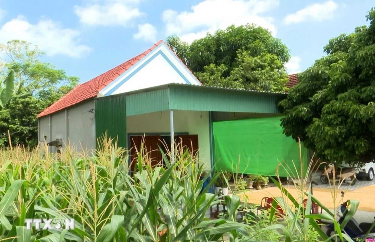 Thu tuong Pham Minh Chinh anh 2