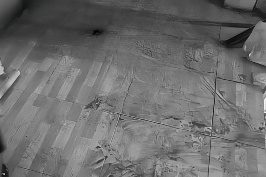 Chong dung binh cuu hoa danh vo tu vong roi tu tu o Hai Duong hinh anh