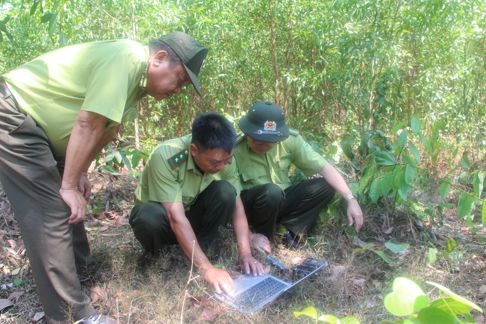 Voi rung Dong Nai anh 10