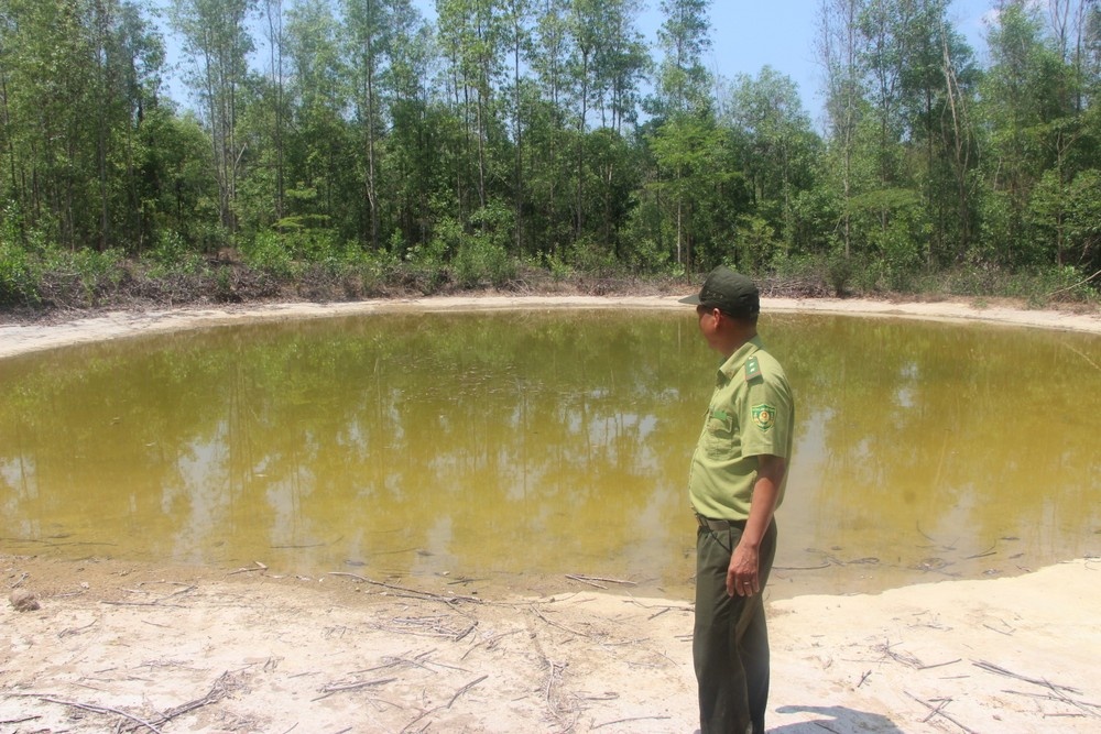 Voi rung Dong Nai anh 8