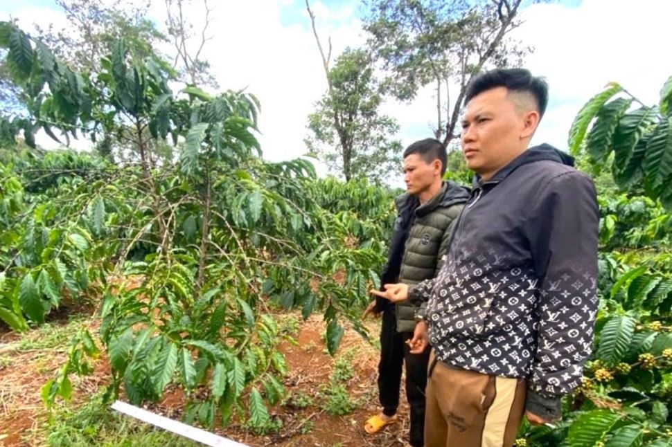 Duoc thue lam bao ve, anh trai ru em hai trom gan nua tan ca phe hinh anh