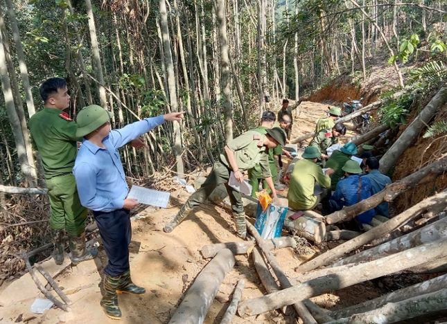Dieu tra vu pha rung phong ho quy mo lon o Bac Kan hinh anh