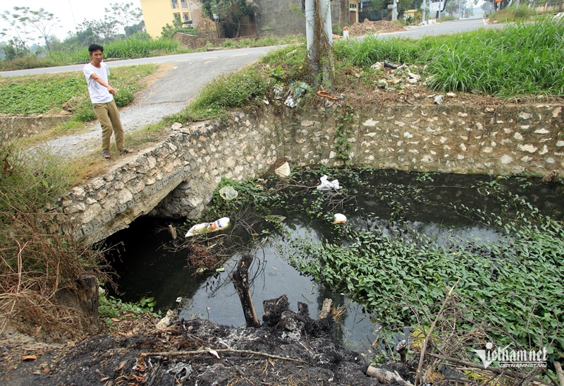 Bua du sinh nhat anh 1