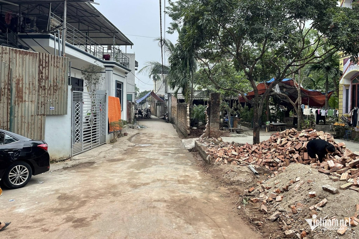 Bua du sinh nhat anh 2