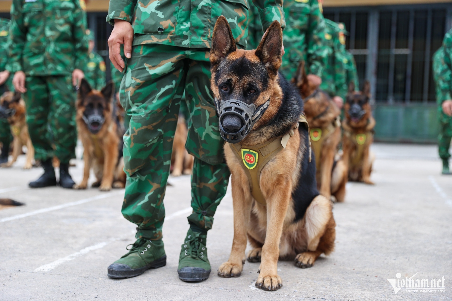 Trien lam Quoc phong anh 5