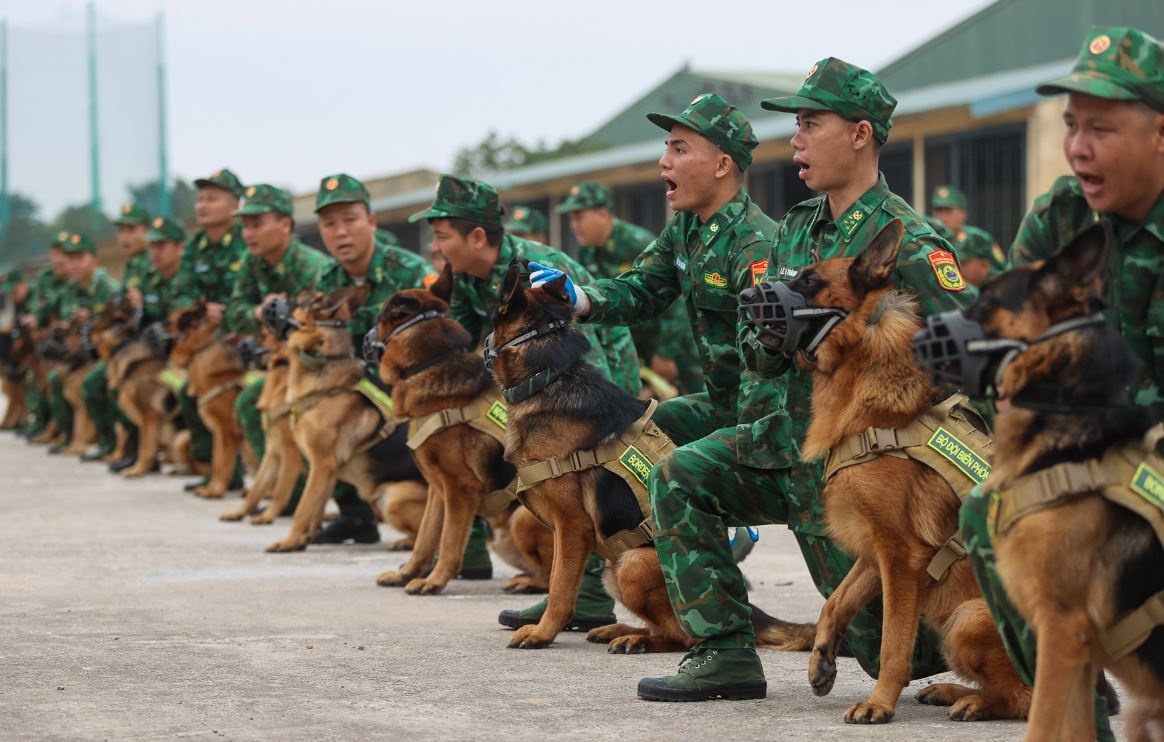 Cho cuu ho Lang Nu se trinh dien tai Trien lam Quoc phong quoc te hinh anh
