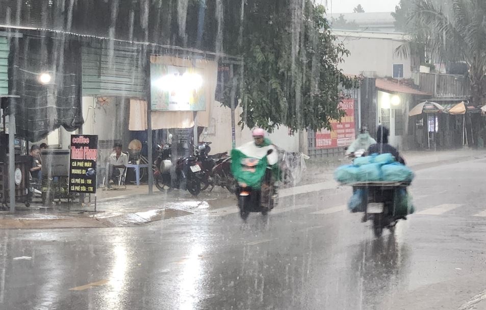 TP.HCM sap co mua trai mua dien rong hinh anh