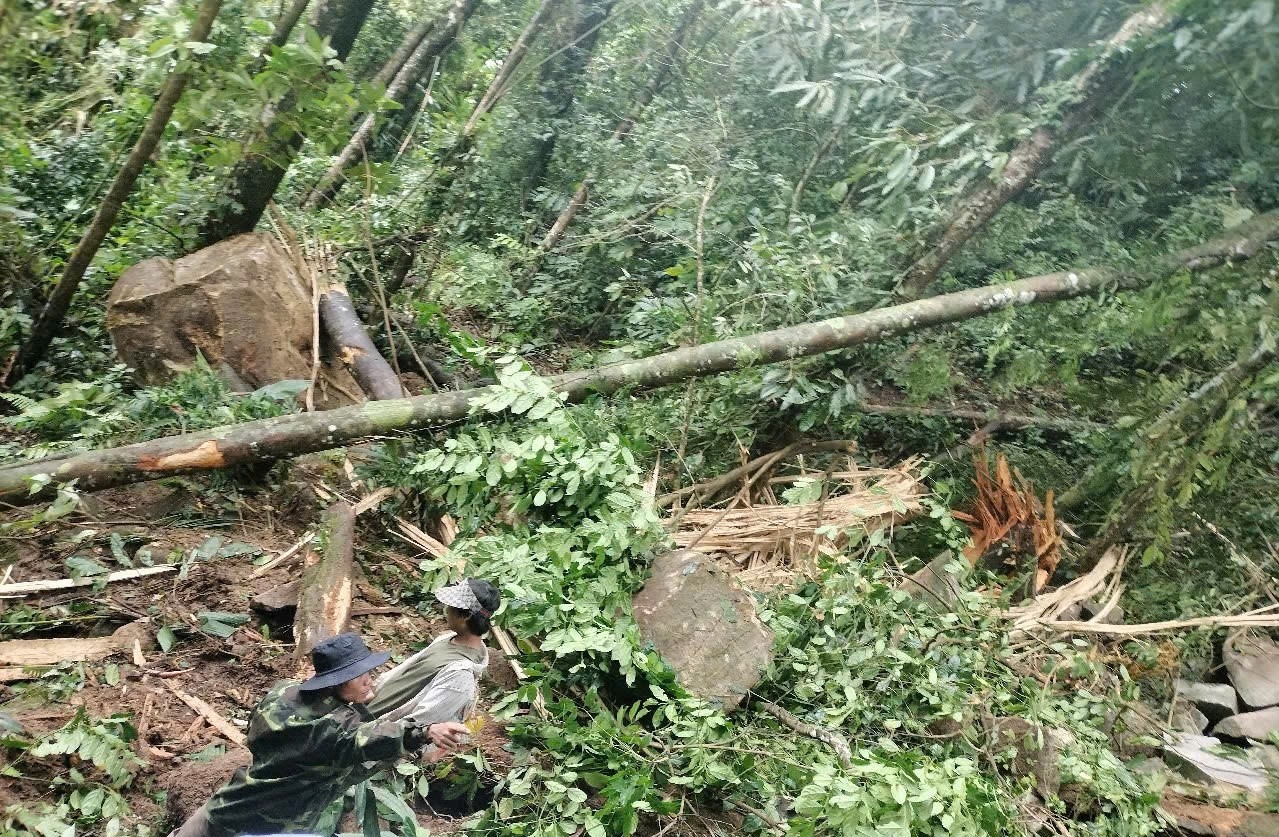 Nhieu tang da lan xuong ngoi lang o Quang Nam sau dong dat tai Kon Tum hinh anh