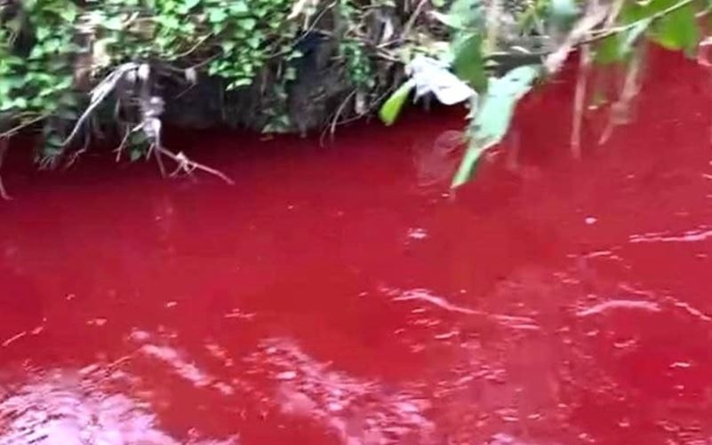 Ky la nuoc suoi mau do nhu mau, mui kho chiu o Binh Phuoc hinh anh