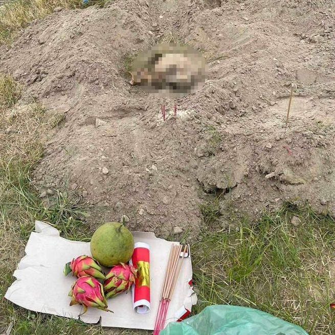 So nguoi Phu Tho anh 1