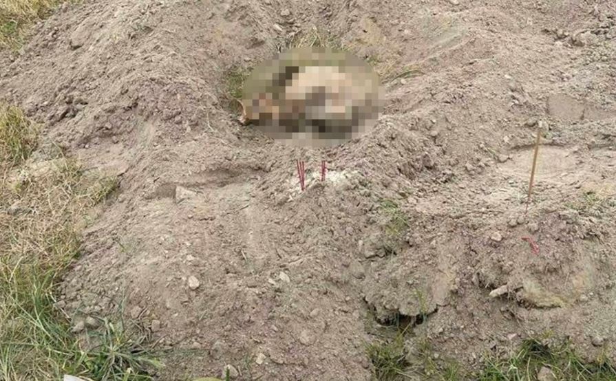 Phat hien so nguoi o bai boi song Hong hinh anh