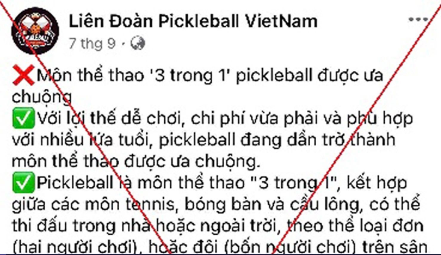 Thu doan gia danh ‘Lien doan Pickleball Viet Nam’ hinh anh