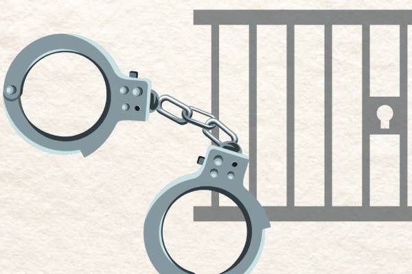 3 nu giam doc ve du an lua dao gan 600 nguoi, chiem doat hon 800 ty hinh anh