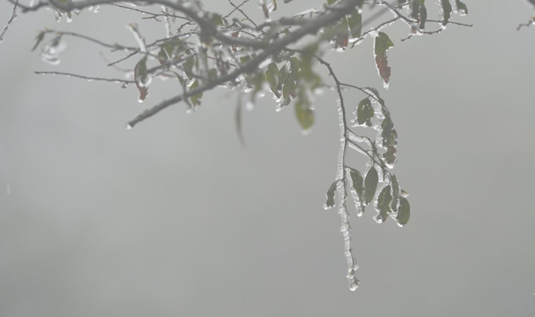 Mien Bac cao diem ret dam, ret hai vao cuoi tuan hinh anh