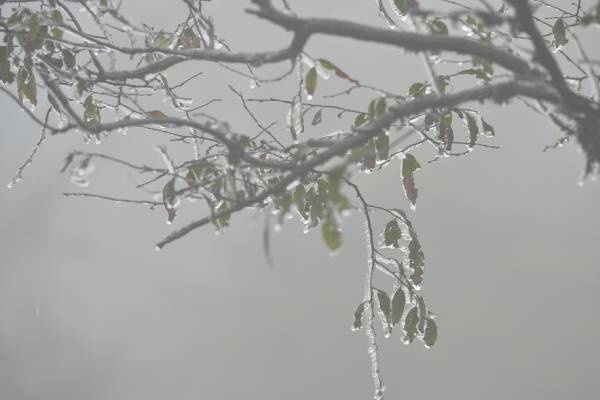 Mien Bac cao diem ret dam, ret hai vao cuoi tuan hinh anh