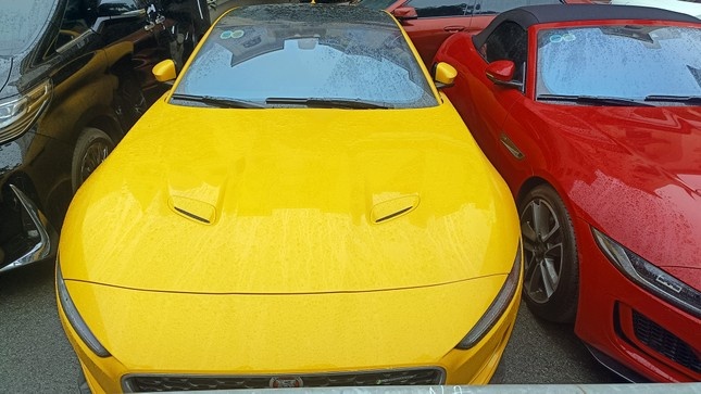 TikToker Mr Pips anh 10